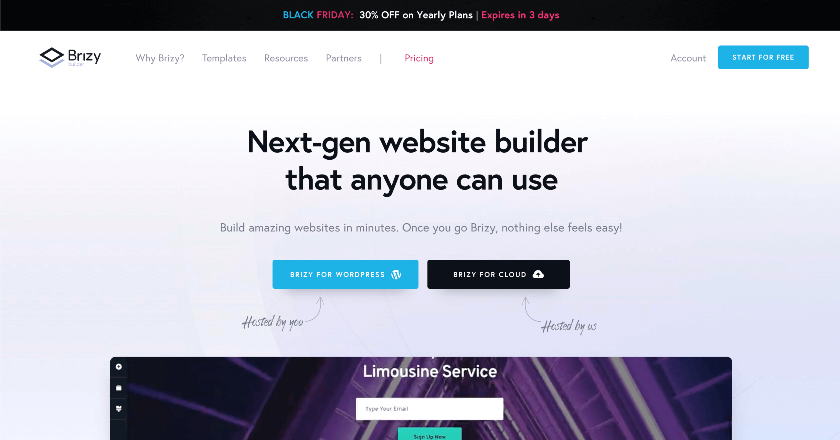 Brizy Black Friday Banner