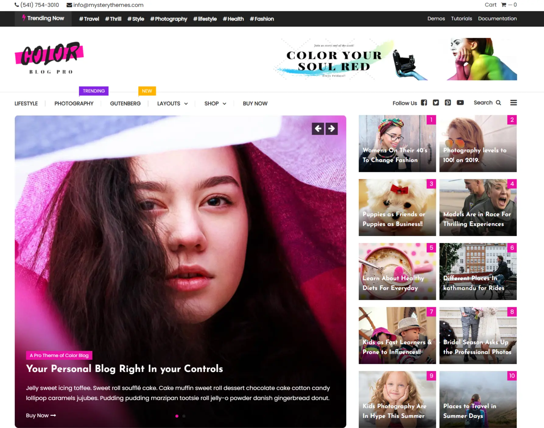 14+ Best Premium Multipurpose Theme - WordPress 1