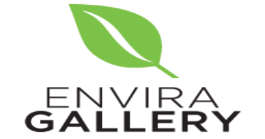 Envira Gallery Black friday Deals