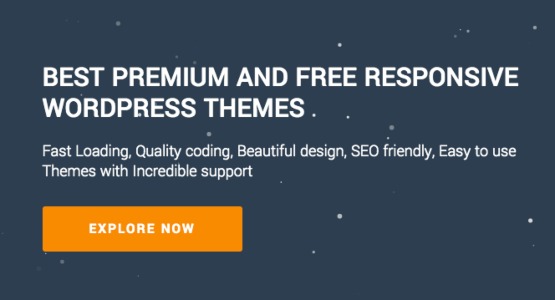 ACME Themes Banner