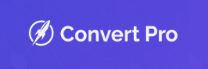 Convert Pro Logo