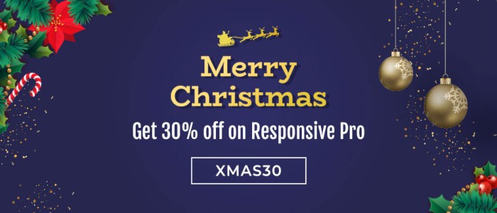 Responsive Pro