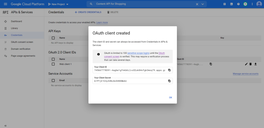 Google Console Authorized Redirect URIs Options